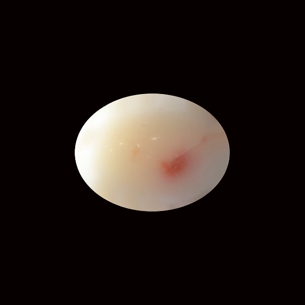 White Coral - 10.76 carats
